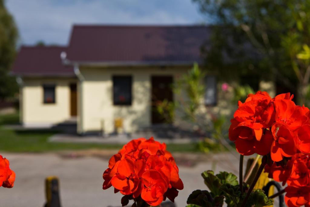 Balaton Eldorado Camping Hotel Badacsonytördemic Esterno foto